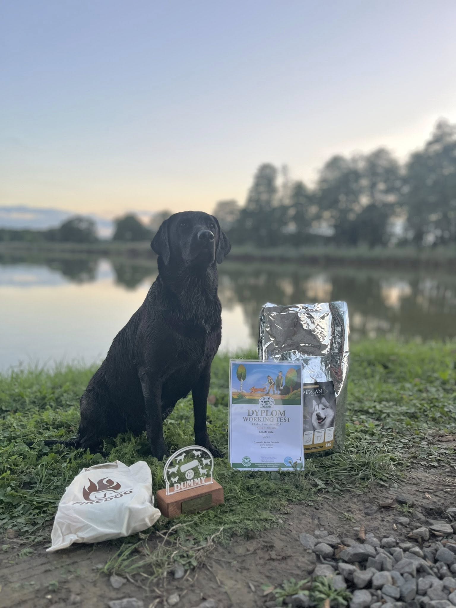 Working Test Chybie 6.09.2025